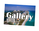 Florida Life Gallery